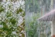 Hail, flooding and severe storms expected in Pretoria today