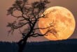 Don't miss the last supermoon of 2025 TONIGHT