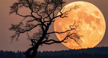 Don't miss the last supermoon of 2025 TONIGHT