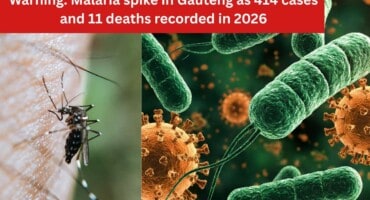 Warning: Malaria spike in Gauteng as 414 cases and 11 deaths recorded in 2026