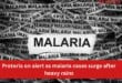 Pretoria on alert as malaria cases surge after heavy rains