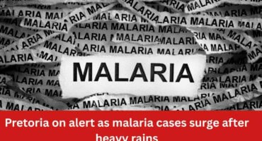 Pretoria on alert as malaria cases surge after heavy rains