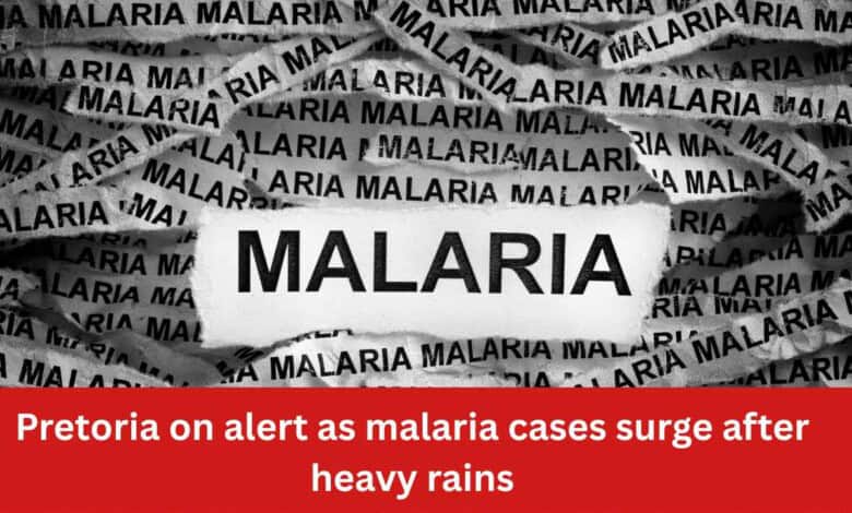 Pretoria on alert as malaria cases surge after heavy rains | Rekord