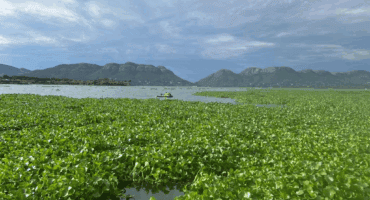 Human skeletal remains found floating in Hartbeespoort Dam