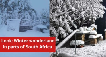 Look: Winter wonderland in parts of South Africa