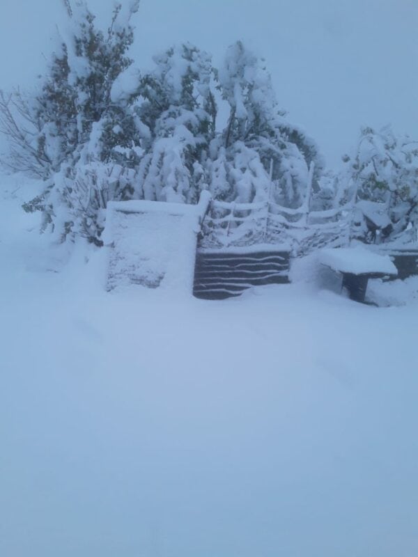 Look: Winter wonderland in parts of South Africa