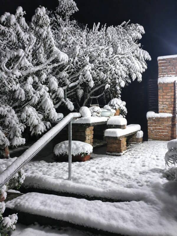 Look: Winter wonderland in parts of South Africa