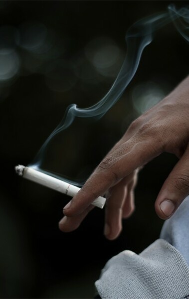 bellmere tobacco Tobacco