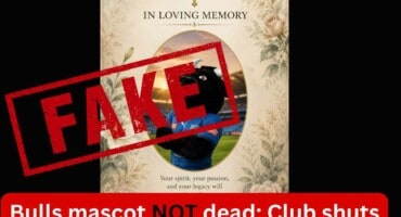 Bulls mascot NOT dead: Club shuts down viral hoax