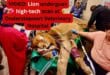 VIDEO: Lion undergoes high-tech scan at Onderstepoort Veterinary Hospital