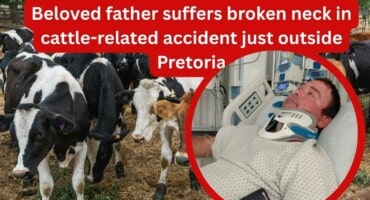 Beloved father suffers broken neck in cattle-related accident just outside Pretoria