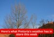 Here's what Pretoria's weather has in store this week