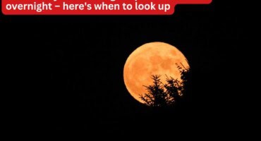 Strawberry Moon to light up Pretoria skies overnight – here's when to look up