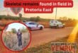 Skeletal remains found in field in Pretoria East