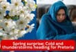 Spring surprise: Cold and thunderstorms heading for Pretoria