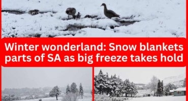 Winter wonderland: Snow blankets parts of SA as big freeze takes hold