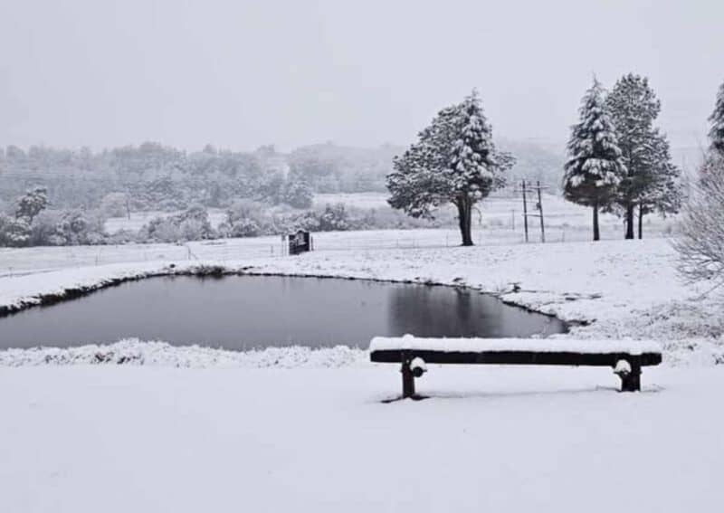 Snow