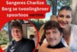 Sangeres Charlize Berg se tweelingbroer spoorloos vermis