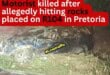 Motorist killed after allegedly hitting rocks placed on R104
