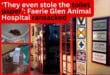 ‘They even stole the toilet paper’: Faerie Glen Animal Hospital ransacked