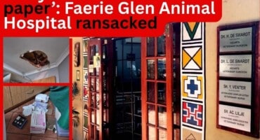 ‘They even stole the toilet paper’: Faerie Glen Animal Hospital ransacked