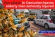 Bee attack in Centurion leaves elderly man seriously injured