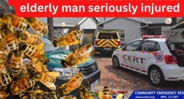 Bee attack in Centurion leaves elderly man seriously injured