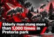 Elderly man stung more than 1,000 times in Pretoria park