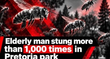 Elderly man stung more than 1,000 times in Pretoria park