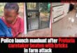 Police launch manhunt after Pretoria caretaker beaten with bricks in farm attack