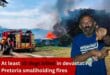 At least 15 dogs killed in devastating Pretoria smallholding fires
