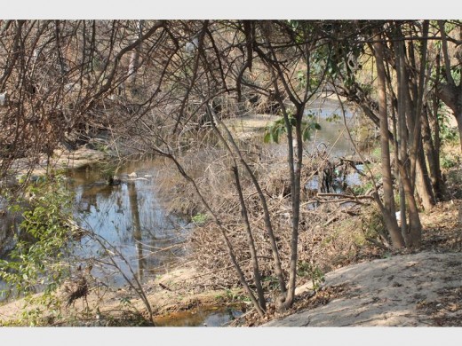 The river is now much more visible with all the alien vegetation and debris removed from the site in Juweel Park.