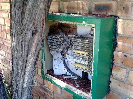 An exposed Telkom telephone cable box is a major concern to a resident who reported the matter more than six weeks ago. Photo supplied.