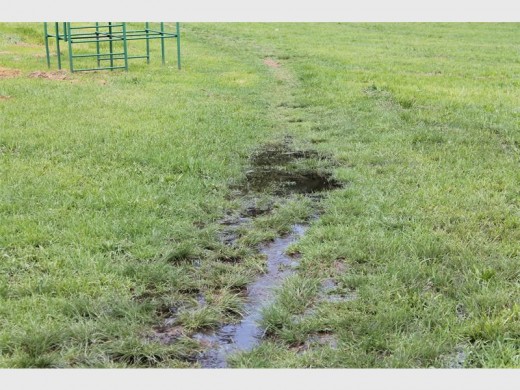 Apart from the sewage problem, a water leak is also present at the Hymanie Park.