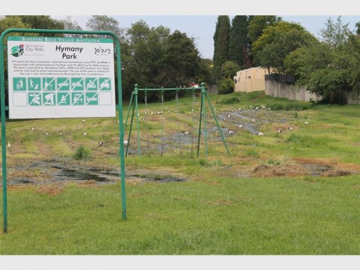 The four pools of sewage spread across the play park and attract birds feeding in the pools.