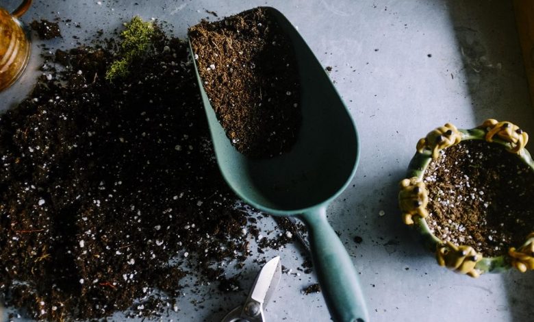 ElanaWagner-11-10-2021-Home-SpringGardening.1 (Medium)