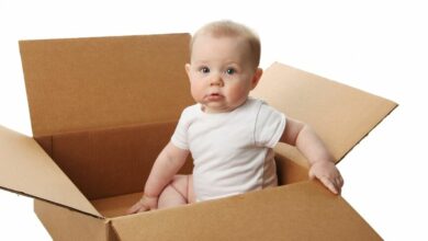 Why do babies love playing with cardboard boxes?