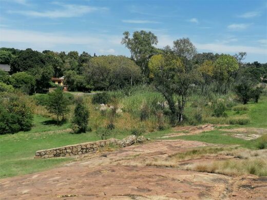 What was once Sundowner Dam is all overgrown now.