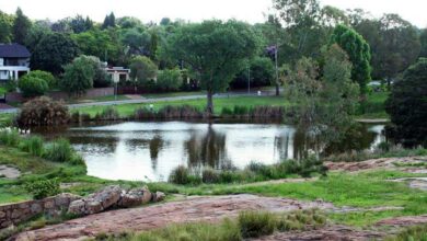 Sundowner Dam