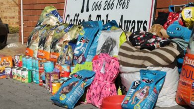 Dog and cat food, blankets and toys for pets are collected for donation. Photo: Nicholas Zaal