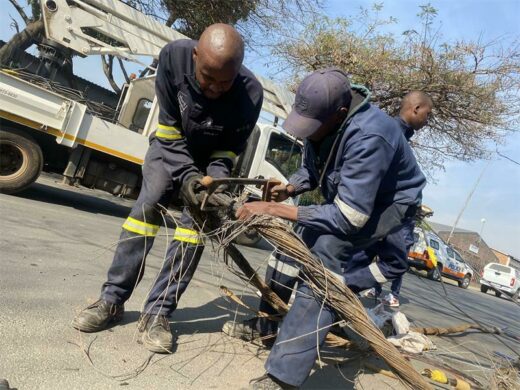 Officials cut aerial bundle cables disconnected from near the businesses. Photo: Simon Majadibodu