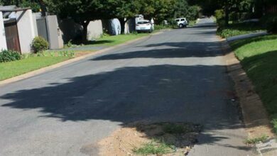 Grass sprouts from a pothole on Holland Avenue.