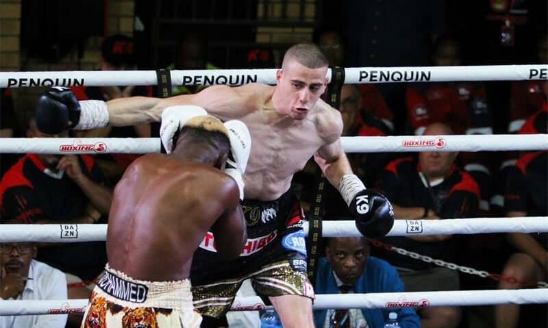 Undefeated K9 gears up for next fight | Randburg Sun