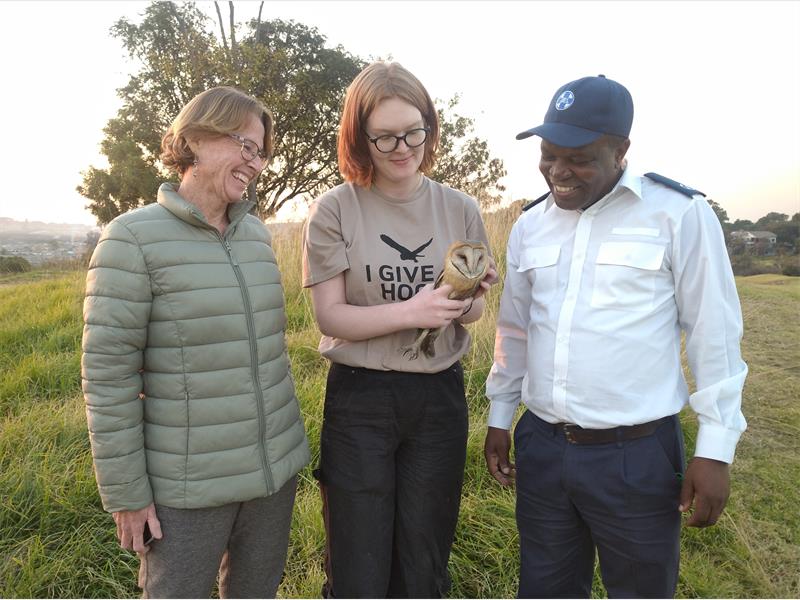 A distressed barn owl, found in Zandspruit, has made a full recovery, and has been returned home after being helped by SPCA, owlproject.org, and Jackal Creek Golf Estate staff.