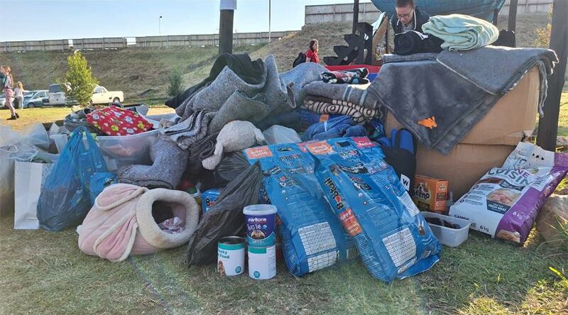 Puppy Yoga Day in Randpark Ridge offered locals a chance to unwind, connect, and donate blankets for dogs in need at Place a Pup.