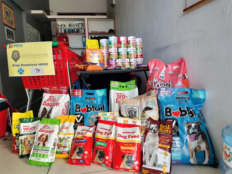 From Scottish pipers to Father Christmas, the Christmas in July market offered community bonding, local shopping, and support for animal charities in one joyful celebration.