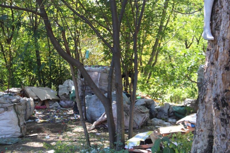 The Bryanfern Residents Association wants action from city entities to restore the Ferndale Bird Sanctuary.