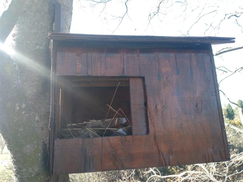 With help from EcoSolutions, the RRVA is turning local greenbelts into thriving habitats where owls and bats can nest, hunt, and help restore balance.