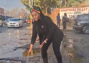 MEC Vuyiswa Ramokgopa says Johannesburg Water and Johannesburg Roads Agency must account for neglect in Randburg, where roads are crumbling and water leaks remain unfixed.