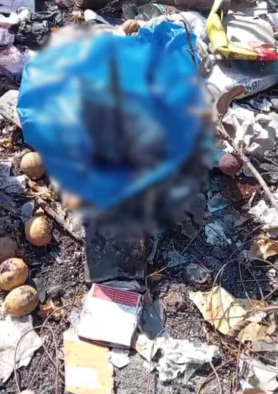 Community in shock after body of a newborn baby is found on Cosmo City Extension 6 dump.